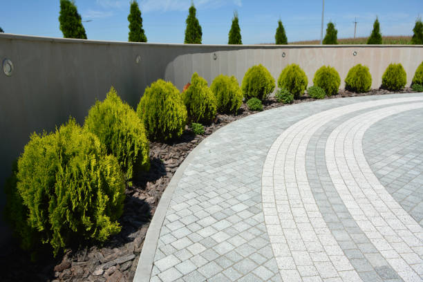 Best Driveway Repair Near Me  in Rockfish, NC